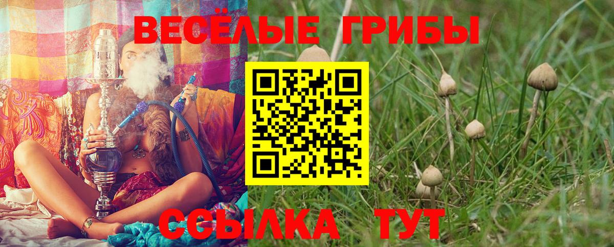 Егорьевск  наркота  Вход с VPN  Псилоцибиновые грибы Magic Shrooms 