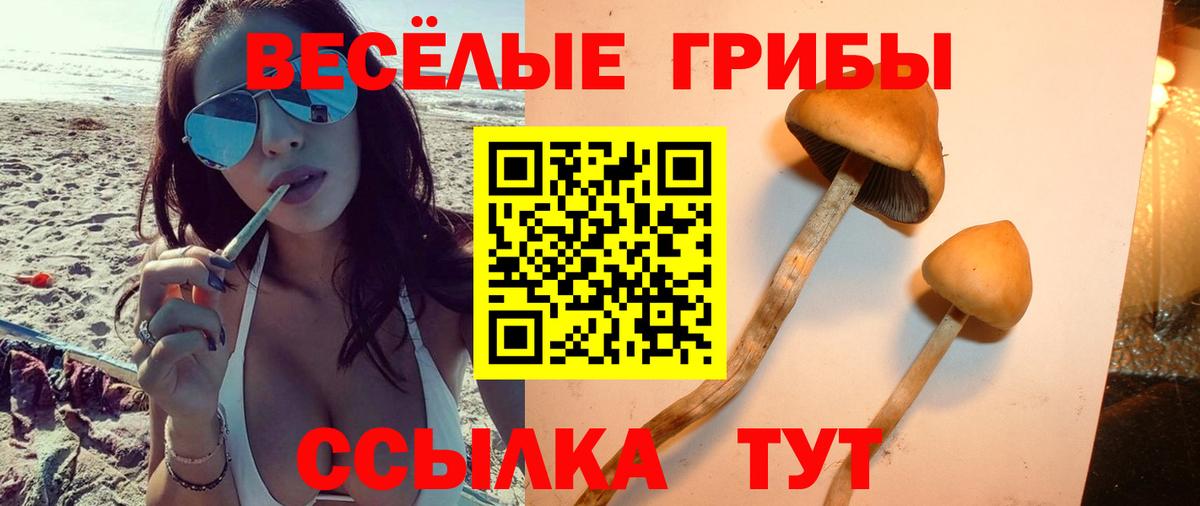Псилоцибиновые грибы MAGIC MUSHROOMS Егорьевск